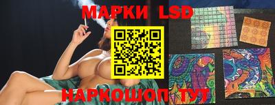 эйфоретик Берёзовский