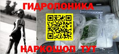 эйфоретик Берёзовский