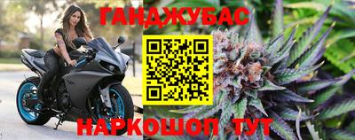 ALPHA PVP Бийск