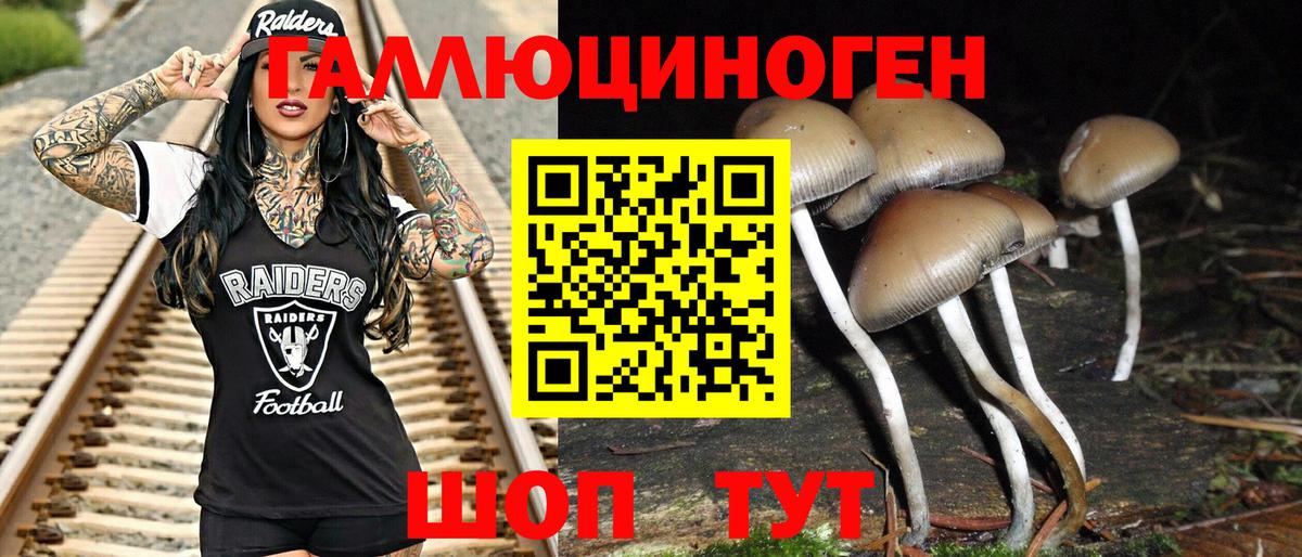 Псилоцибиновые грибы прущие грибы  Вход с VPN  Карачаевск 